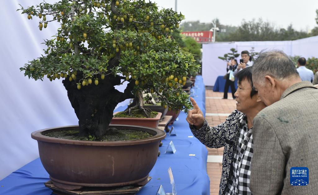 威尼斯真人